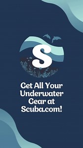 Don't underestimate the importance of a compass! 🌊 Many divers take compasses for granted, using them mainly as an accessory to an overall dive gauge console system. Carrying a compass while diving not only helps you navigate your way underwater, but will ensure your safe return back to the surface especially since the conditions are always changing. 🧭 | Scuba.com