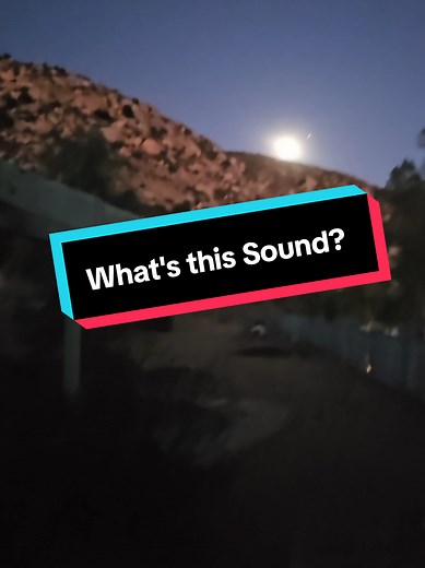 Uncovering the Truth About Aliens and Extraterrestrial Life