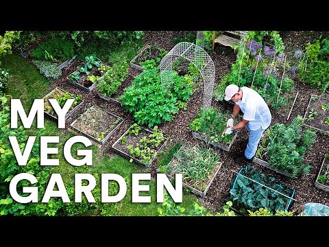 My Ultra Low-Maintenance Garden: The Full Tour