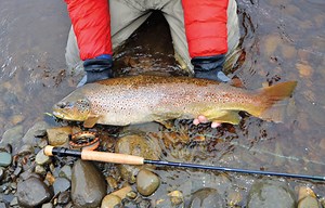 Keeping it Simple: The Best Fly Fishing Knots - Fly Fisherman