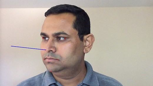 Head Pose Estimation using OpenCV and Dlib | LearnOpenCV #