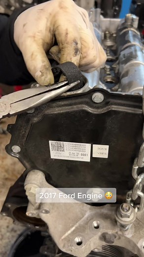 Ford Transit Engine Timing: Belt vs. Chain Explained