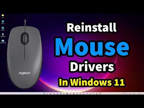 How To Reinstall Mouse Drivers In Windows 11 Pc or Laptop
