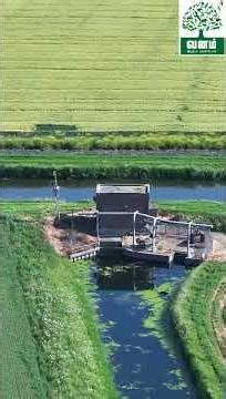 🌱 Proper Irrigation & Drainage in Agriculture | Improve Crop Growth Naturally 🌾🚰