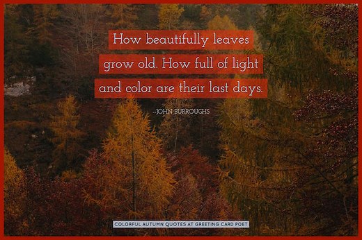 100 Autumn Quotes That Capture the Beauty of the Season