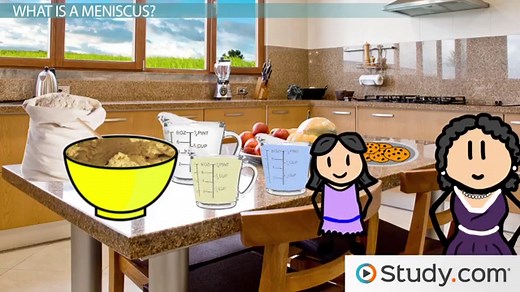 Meniscus | Definition, Reading & Examples