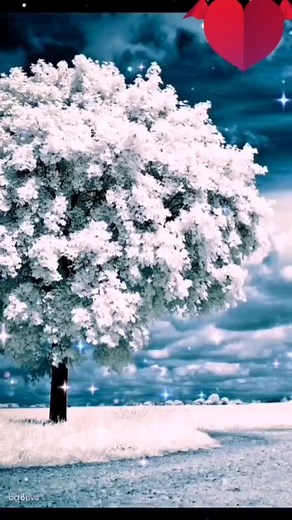 Captivating Nature Scenes in Springtime