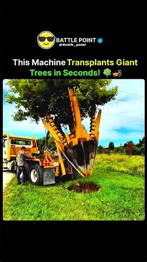 This Machine Transplants Giant Trees in Seconds! 🌳🚜