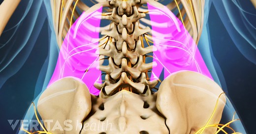 What Is Your Back Muscle Spasm Telling You?