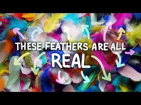 There’s no such thing as a fake feather