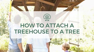 How To Attach A Treehouse To A Tree In 6 Steps | Fun In The Yard