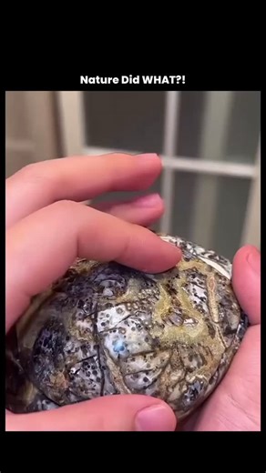 explain.world on Instagram: "Here is a similar high-quality English description for this video: --- Nature Did WHAT?! 🌍✨ This mesmerizing geode is a naturally formed rock that developed over millions of years through a slow and fascinating geological process. Geodes start as hollow cavities inside volcanic or sedimentary rocks, often formed by trapped gas bubbles or decaying organic material. Over time, mineral-rich water seeps into these empty spaces, depositing tiny layers of crystals along t