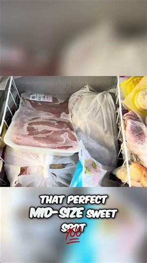 Freezer Face Off Space vs Performance Which Wins