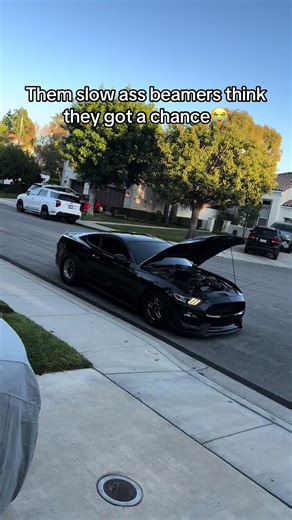 Mustang GT vs BMW: A Performance Showdown