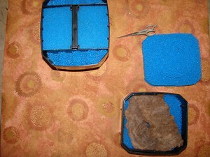 How to Transition From Your Old Aquarium Filter to a New One