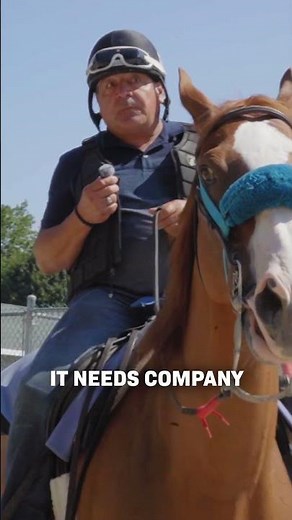 Meet New York-based outrider BAM BAM 👊