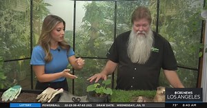 In The Garden: Natural Gopher Control