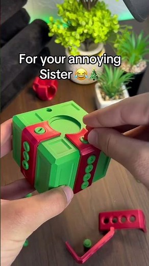 Perfect for this Christmas 🎄😂#prankgift #siblings #🎄❄️🎁🎅 #giftideas