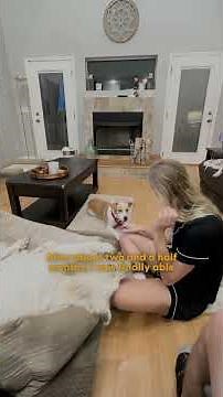 Feral Puppy Learns How to “Dog” — And Her First Zoomies Are Everything | The Dodo