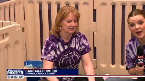 Hop into 'Cuddle Bunny' for snuggles and stress relief