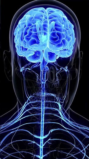 Introduction to central nervous system