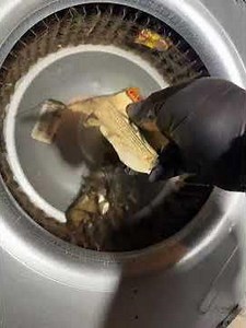 Smells #heatingandplumbing #plumbing #gasappliance #plumber #plumbingtime #gasfitting #automobile