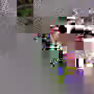 They released 14 wolves into a park. What happened next is a miracle that proves we must take care of our amazing planet. | We Love USA