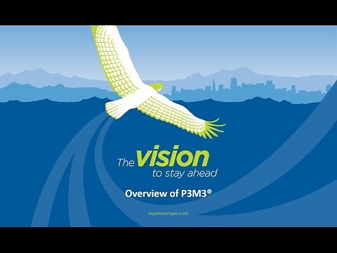 P3M3 Insights - Overview of the model