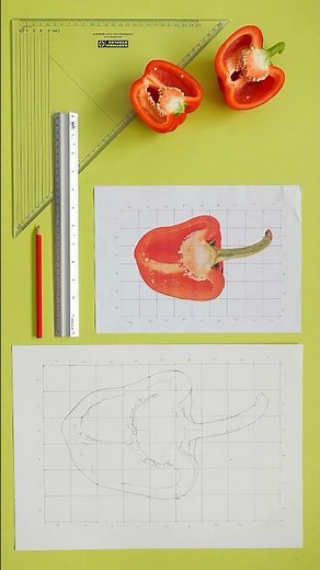 How To Scale A Drawing Using A Grid #drawingtips #gridmethod #howtodraw #drawingtutorial #shorts