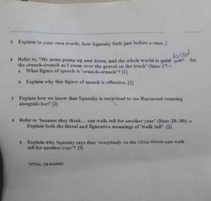 Comprehension Questions: "Raymond's Run"3. Explain in your ow... | Filo