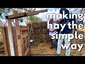 MAKING HAY THE SIMPLE WAY || INNOVATIVE AND EFFECTIVE TECHNIQUE FOR HAYMAKING