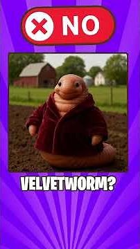 Literal Vs Reality English Compound Words Part 184🐵🐵