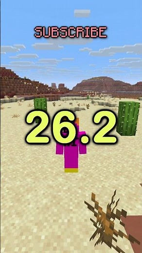 26.1 : The Next Minecraft Update