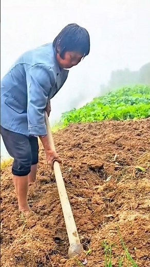 Digging and turning soil manually using a traditional hoe