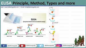 Enzyme-Linked Immunosorbent Assay (ELISA) | Lab Tests Guide