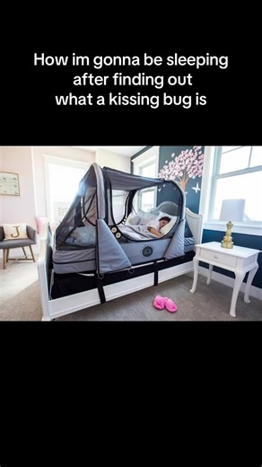 Understanding Kissing Bugs: What You Need to Know