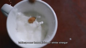 Homemade Goat Cheese