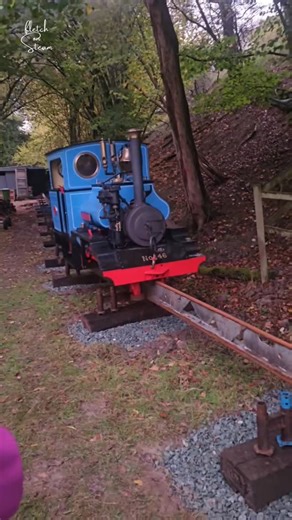 Alex Fletcher on Instagram: "Check out this amazing miniature steam train monorail! “Monoloco” is due to debut this weekend at the Tanat Valley Railway. Would you ride this monorail, it seems like a shaky ride!  Video Credit: Adam Jeffrey #steamtrain #steamengine #railway #livesteam"