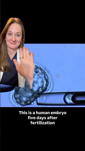 Embryo Biopsy for Testing - How do they do that?!