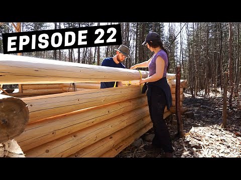 Building A Log Cabin | Ep. 22 | Roof rafters, log notching, gardening & water collection