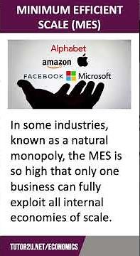 Minimum Efficient Scale | 60 Second Economics | A-Level & IB