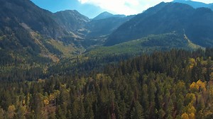 8.8K views · 192 reactions | In the wild places, under the sun; at...