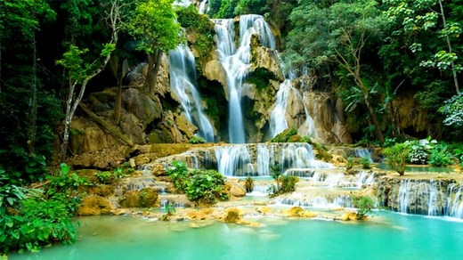 Transition, Brush, Black