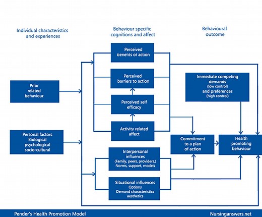 Pender's Health Promotion Model