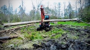 Logging and Stump Removal with Mini Excavator