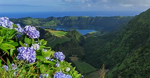 Cruise Deals, Offers & Discounts