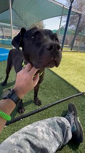 14K views · 655 reactions | HAVEN WAS ADOPTED TODAY, 10/25/25! THANK...