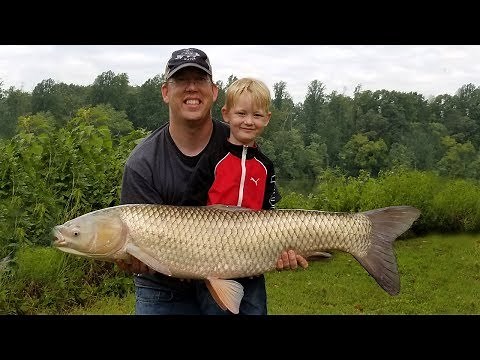 Fishing for Grass Carp - How to catch grass carp - Carp fishing tips and techniques