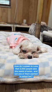 19K reactions · 33 shares | Please don’t make me tell her梁 Luna is...