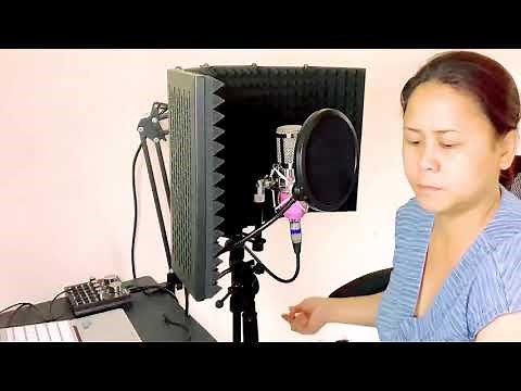 MICROPHONE ISOLATION SHIELD UNBOXING AND SET UP